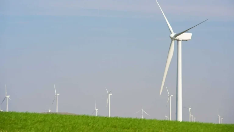 Climbing Safety Gear Failures on Wind Farms