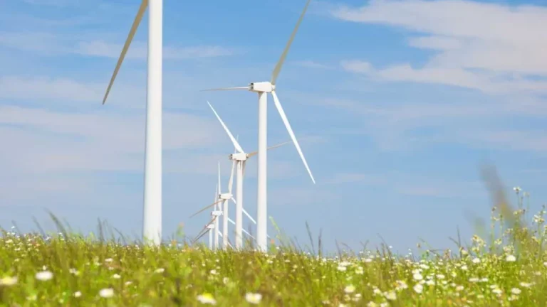 Rescuing Injured Workers From Wind Farms