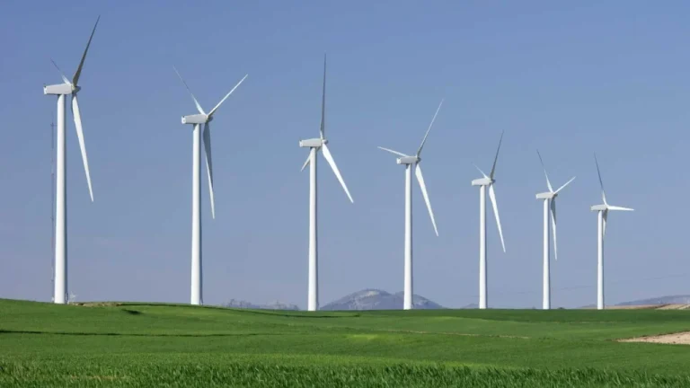 Snake and Spider Bites on Wind Farms