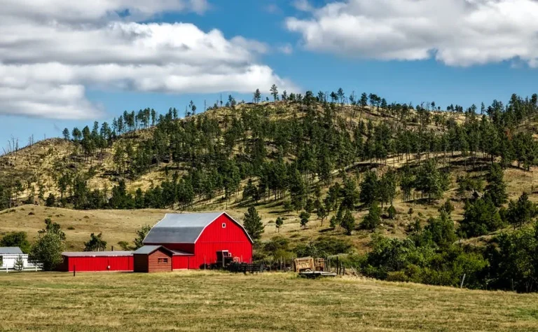 Farm