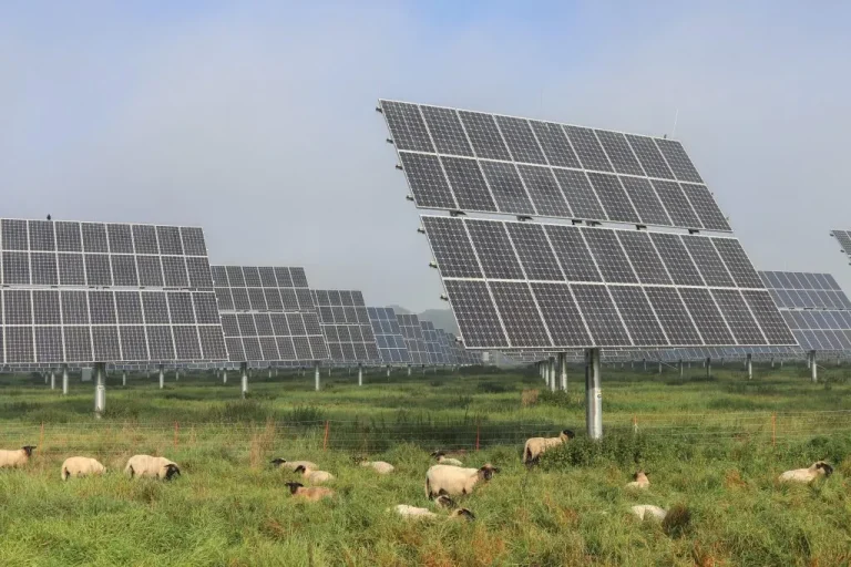 Solar Panel