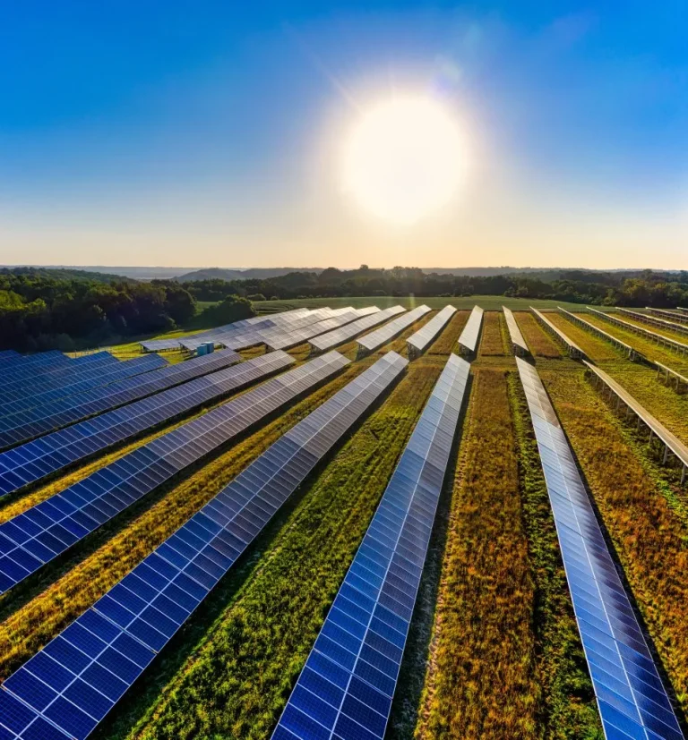 Farm Powered By Solar Panels