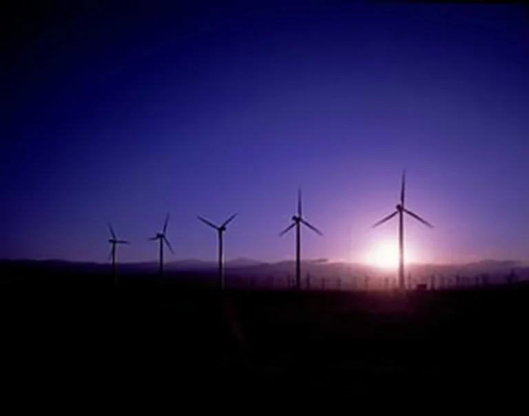 What To Do if You Have Fallen in a Wind Turbine Accident