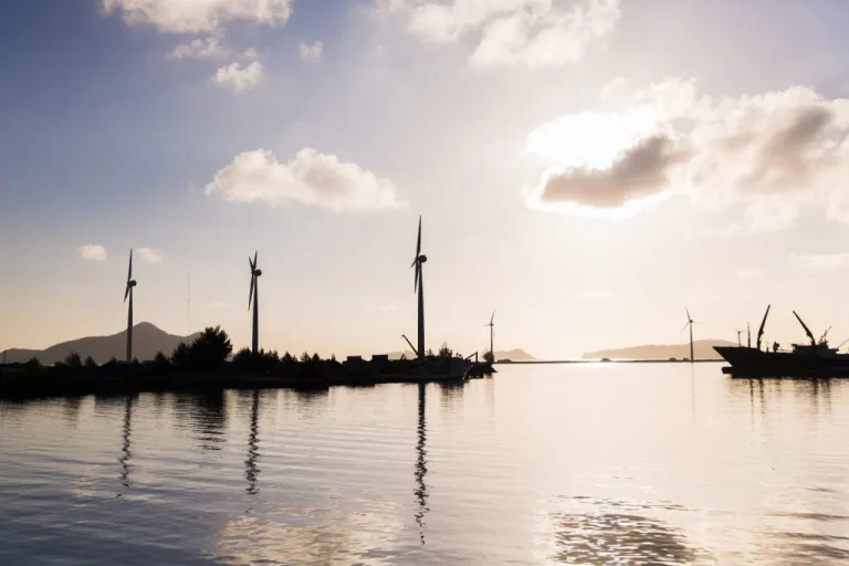 Offshore Wind Farms